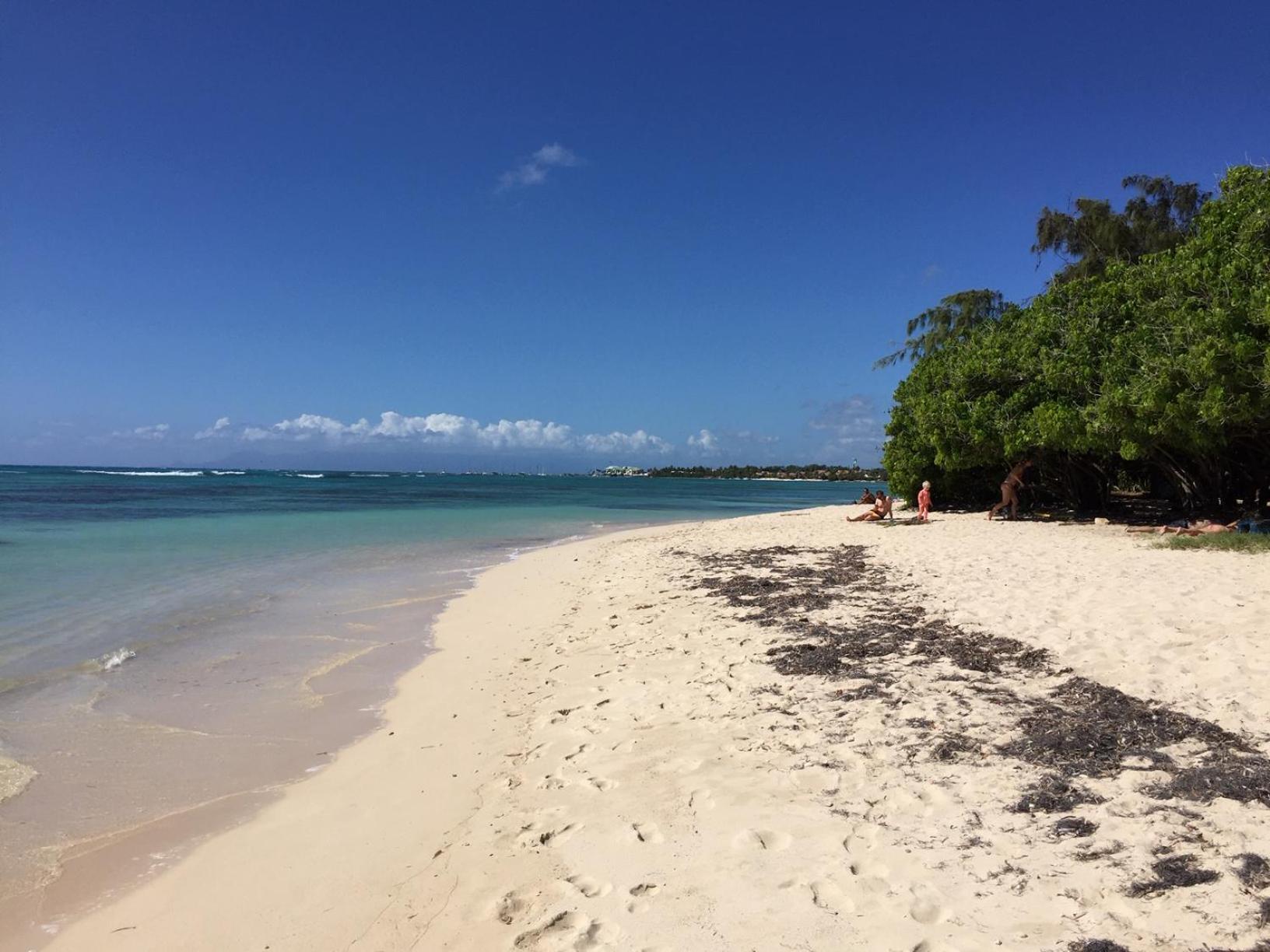 Villa Les Saintes 4/5 P A 50M De La Plage De L'Anse De Mancillier Exteriér fotografie