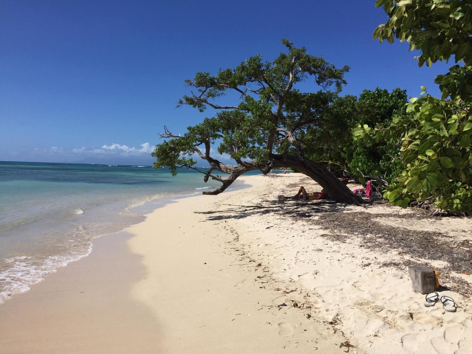 Villa Les Saintes 4/5 P A 50M De La Plage De L'Anse De Mancillier Exteriér fotografie